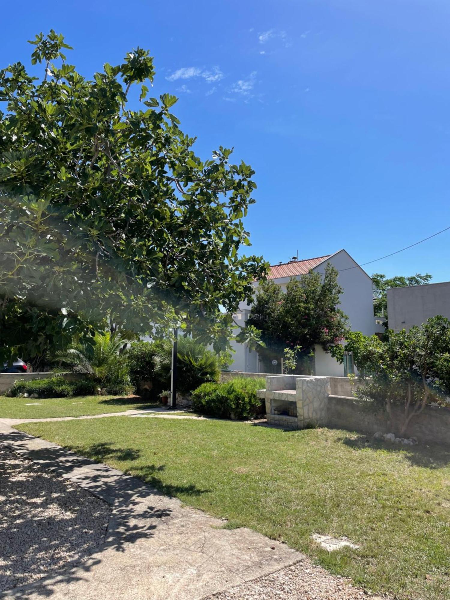Appartamento House Susec Povljana Esterno foto